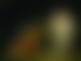 MARTES DE LA OCTAVA DE PASCUA, 19 DE ABRIL DE 2022