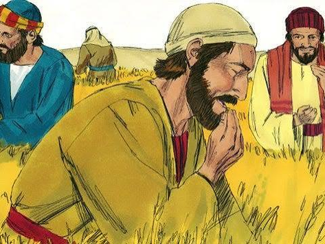 FRIDAY OF THE FIFTEENTH WEEK IN ORDINARY TIME, JULY 17, 2026