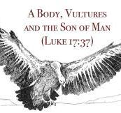 REFLECTION BY MEMBER-LUKE 17:26-37