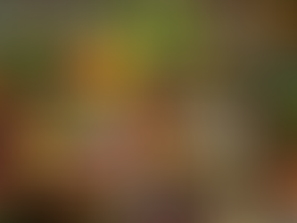 MIÉRCOLES DE LA XII SEMANA DEL TIEMPO ORDINARIO, 22 DE JUNIO DE 2022