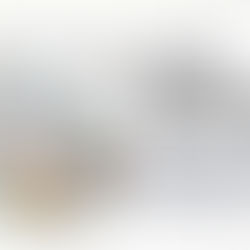 Sociedade Brasileira de queimaduras passa a contar com coordenação de ligas acadêmicas