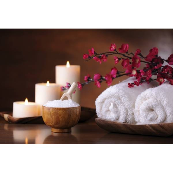 www.healthspaandwellness.net