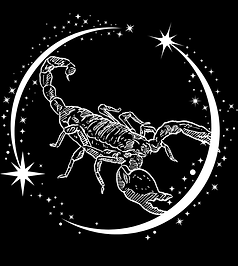 Untitled design (1).png