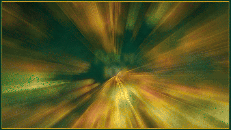 Root 100_Header Video.gif