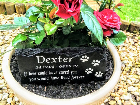 Honouring a Best Friend: Ideas for Laser Engraved Pet Memorials on Slate.