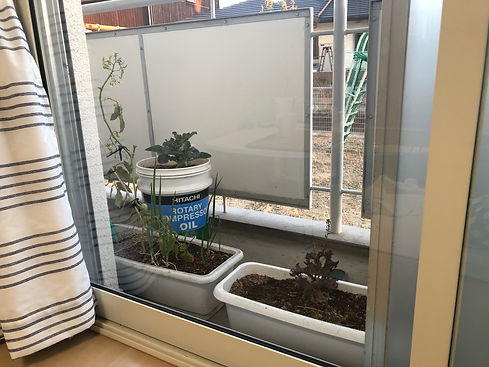 window_37_02_0212.jpeg