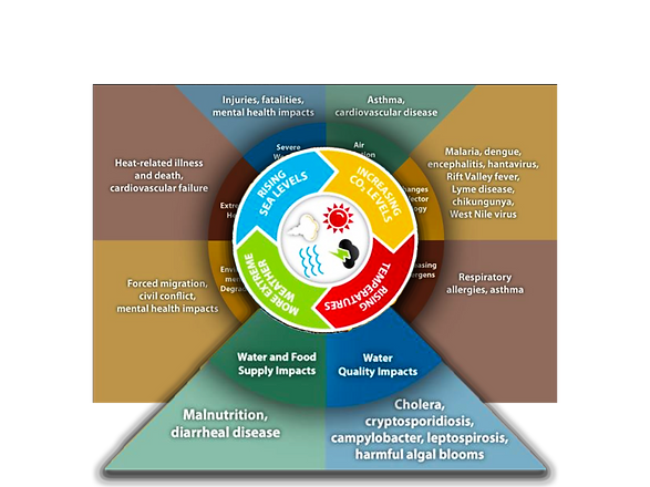 One Health Component Food Security.png