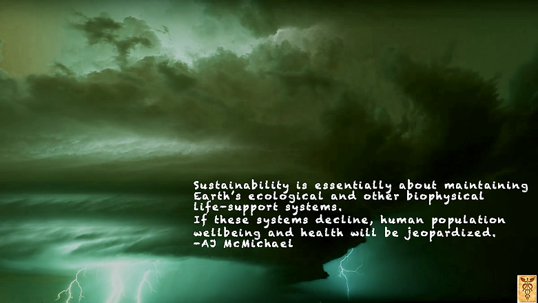 Climate Change One Health.png