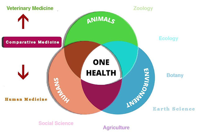 Comparative Medicine.jpg