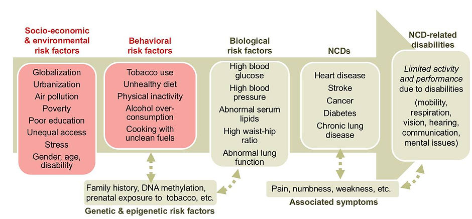 One Health NCD.jpg