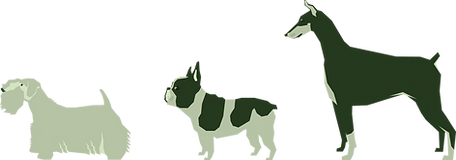 Decorative illustrations of three dogs in height order — a Sealyham Terrier, French Bulldog and a Doberman.