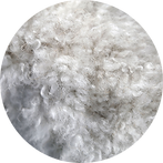 Close-up of dense, curly fur on a wool-coated dog, like a Poodle, representing grooming services for wool or poodle coats.