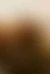 A couple embraces on a motorcycle at sunset, surrounded by nature. Warm golden tones, with a tattooed hand holding a bouquet. Romantic mood.