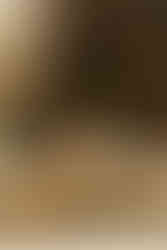 A woman in white leans on a man in a dark suit, seated in a rustic setting with flowers and a wooden table. Vintage, romantic mood.