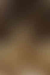 A woman in white leans on a man in a dark suit, seated in a rustic setting with flowers and a wooden table. Vintage, romantic mood.