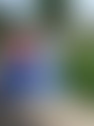 I surprised my kiddos with these Personalized Beach Towels last month!!