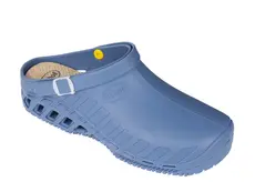SCHOLL-lavoro.webp
