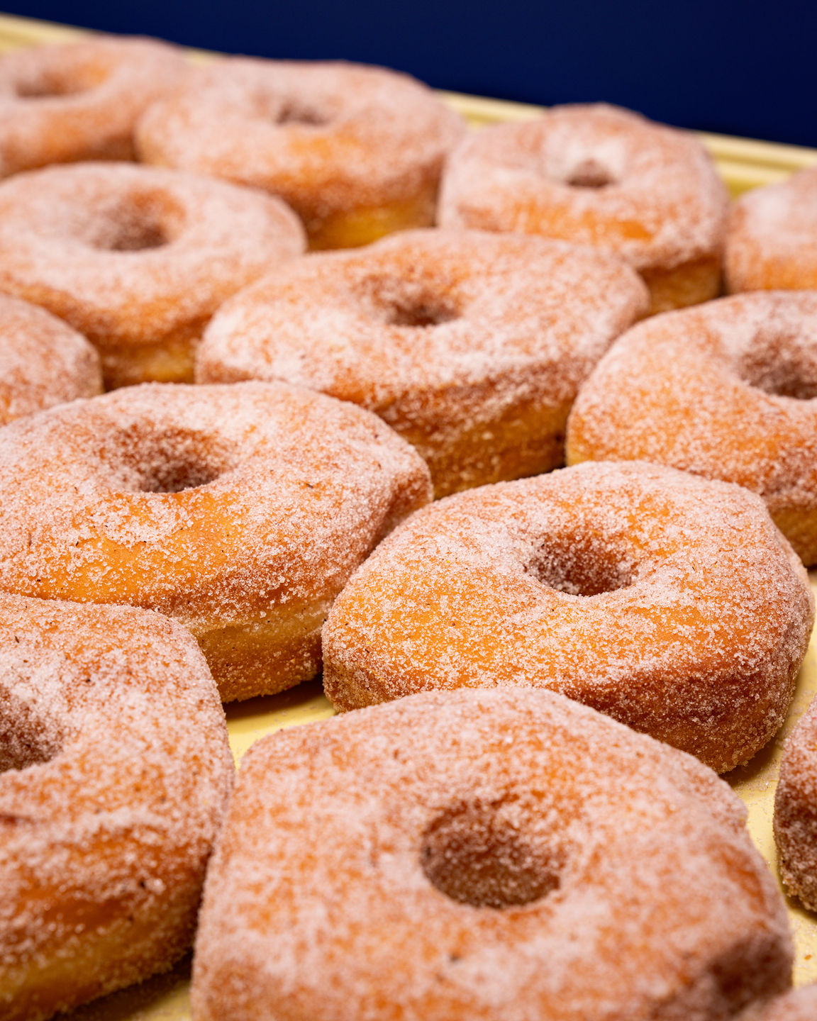 Tray full of Classic Sugar Donuts