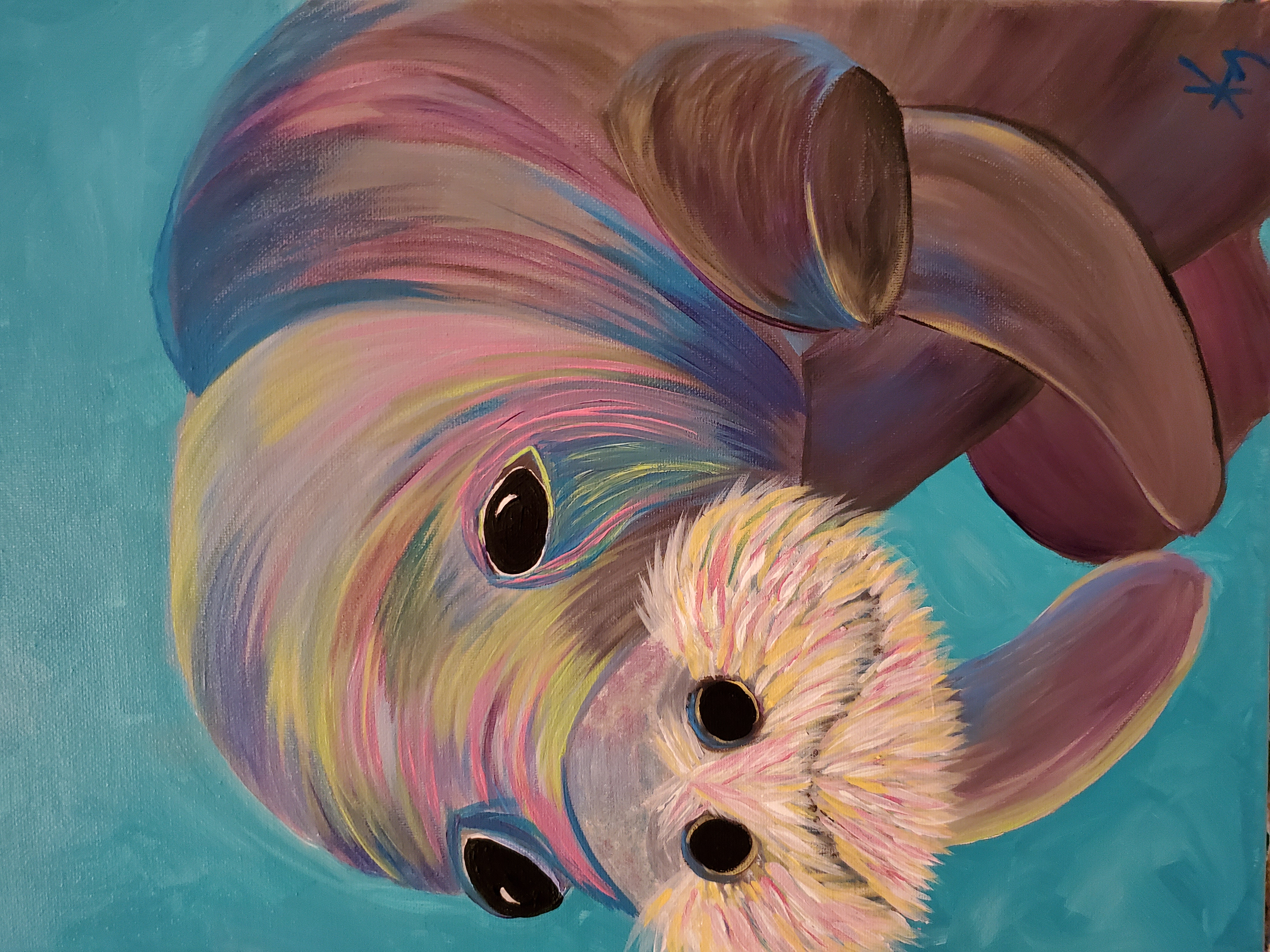 Manatee in Color