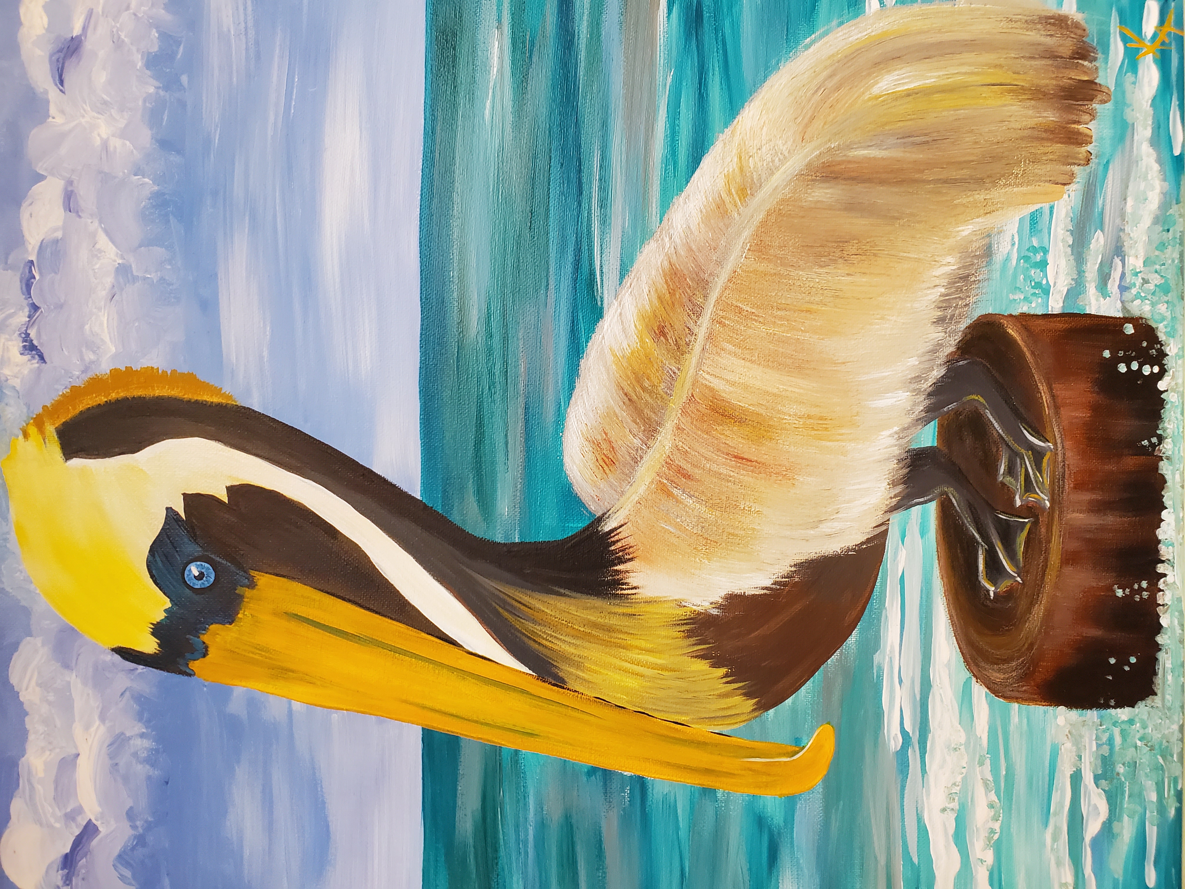 Pelican