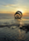 products-marys-shell-on-cleveleys-beach.