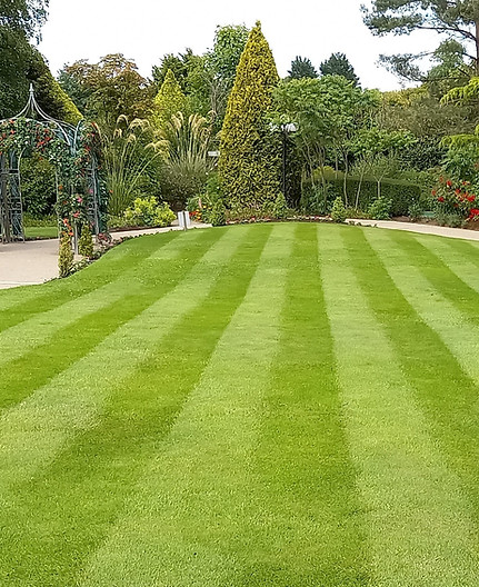 Striped lawn with trees and large garden.
