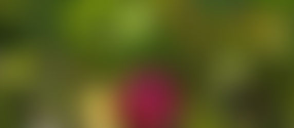 Agribusiness and Sustainability 