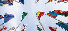 drapeaux-formations-linguistiques