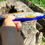 Thumbnail: Limoni blu Oval 8x12"