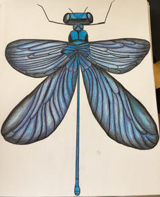 Iridescent Luck