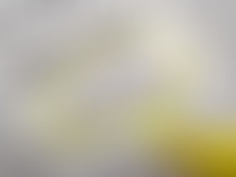 After the Honeymoon - living with your system integrator