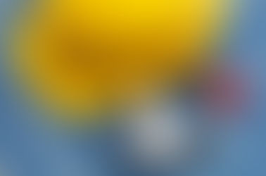 Project Managers Wanted - Only those with War Wounds need apply