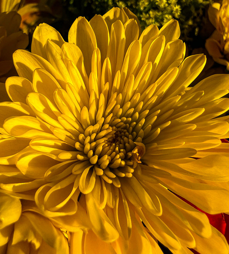 IMG_7094.jpg