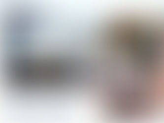 Art's place In the sun