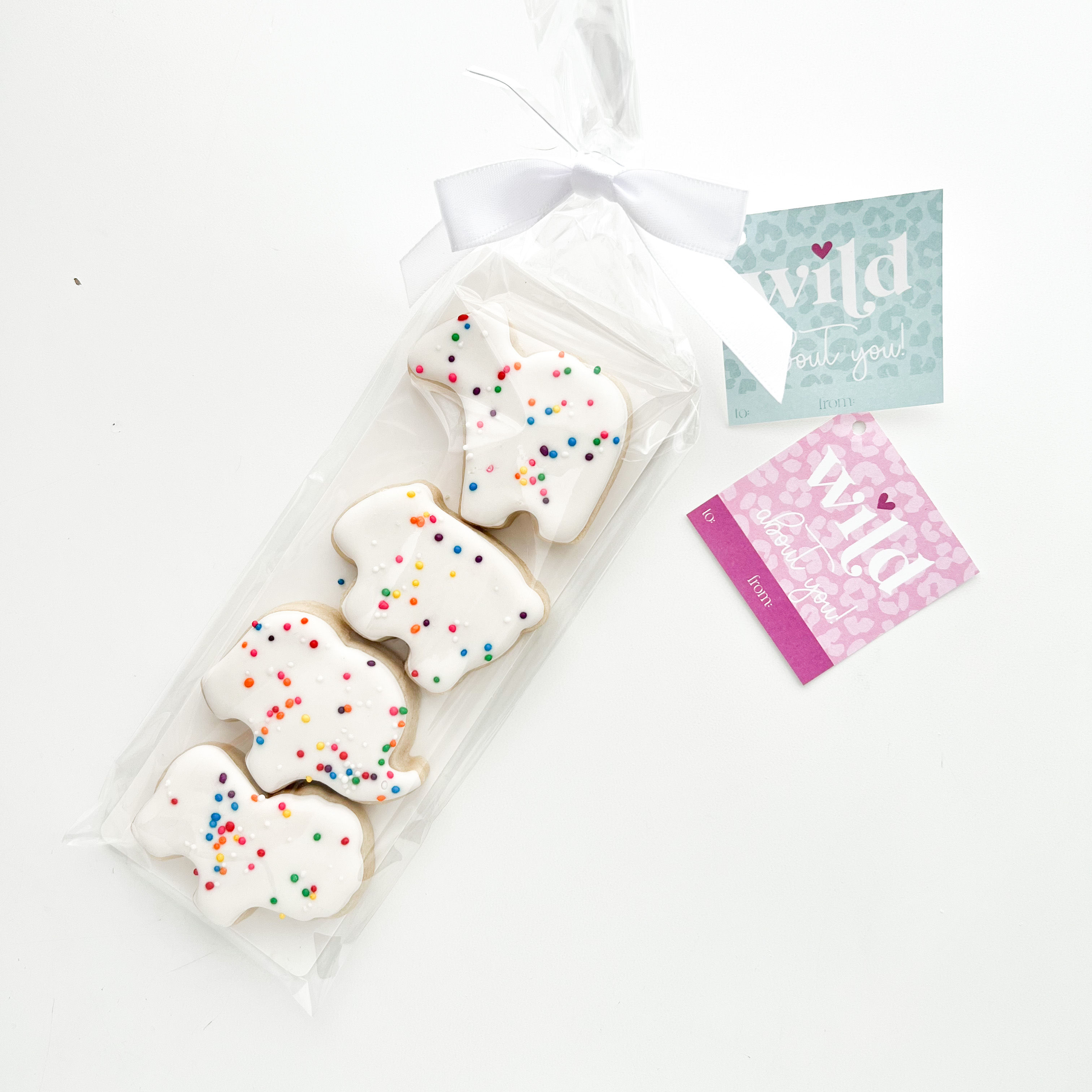 "Wild About You" - Set of 4 Minis