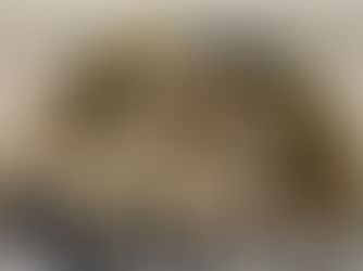 École Beth Menahem | Fontenay-sous-Bois (94)