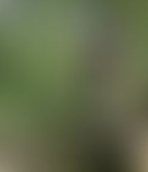 Les Institutions Beth Rivkah | Yerres (91)