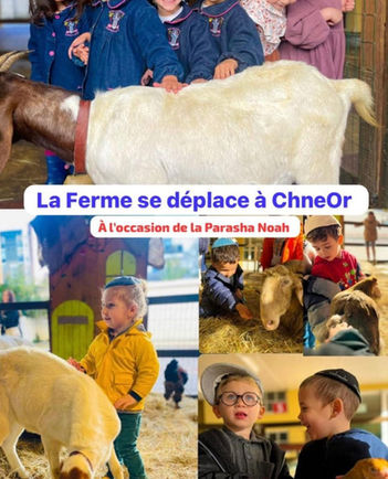 Les Institutions Chné-or | Aubervilliers (93)