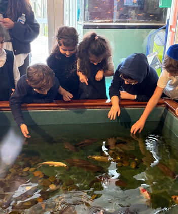 Gan Menahem | Levallois-Perret (92)