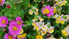 OPENINGSUREN ZOMERVAKANTIE