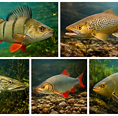 ChatGPT Image Jan 10, 2026, 06_08_55 PM.png