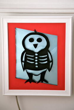 Radiographie Polaire