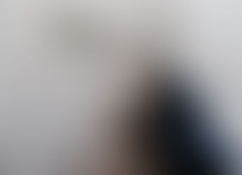 La délicatesse de l'éléphant