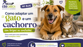 Uma gato tigrado ao lado de um cachorro vira-lata, os dois estão deitados ao lado um do outro felizes. Logo da Cão Carioca no canto superior esquerdo, titulo grande como adaptar um gato e um cachorro sem brigas ou confusoes