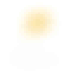 new site-28.jpg