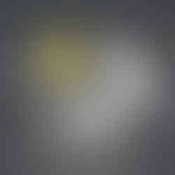 new project for ne wsite-141 Large