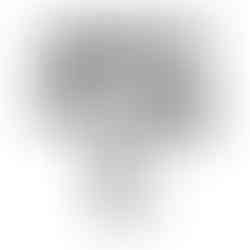 new site-43.jpg