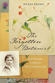 BOOK_COVER_TEMPLATE.png