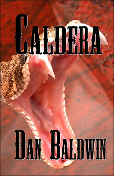 BOOK_COVER_TEMPLATE.png