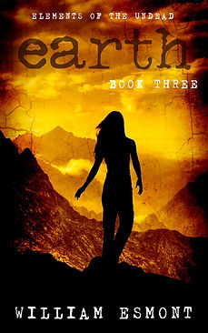 BOOK_COVER_TEMPLATE.png